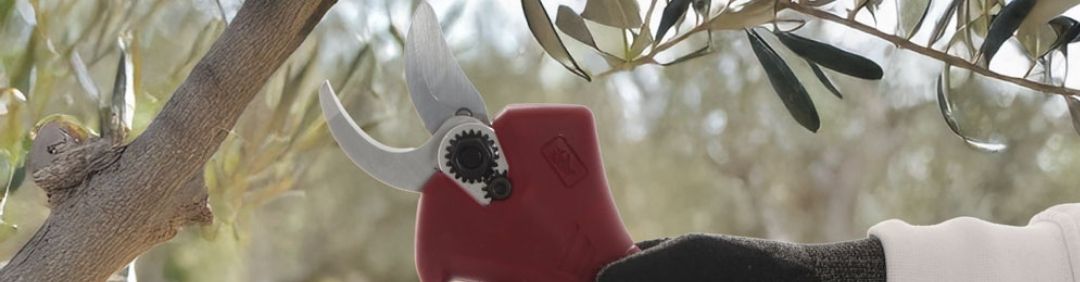 Archman cordless electric pruning shears