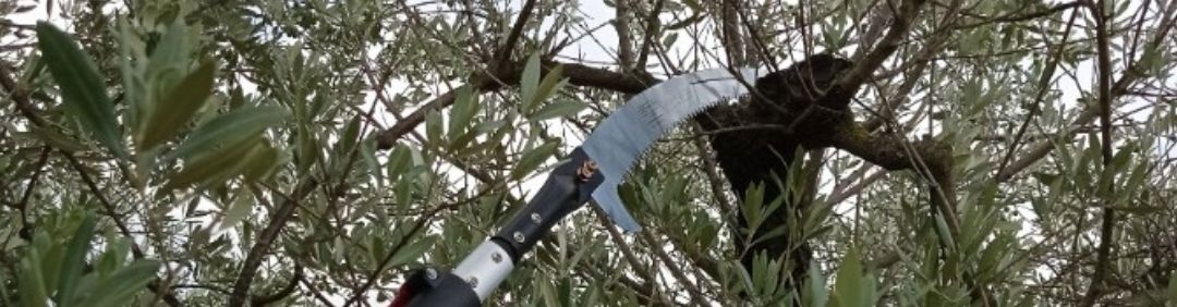 Archman pruning saws