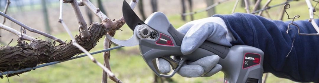 Ausonia pruning shears The best Ausonia battery-powered pruning shears on offer at AgriEuro