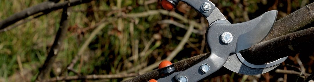 The best Bahco loppers on offer at AgriEuro