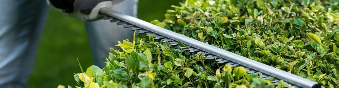 The best Batavia hedge trimmers on offer at AgriEuro