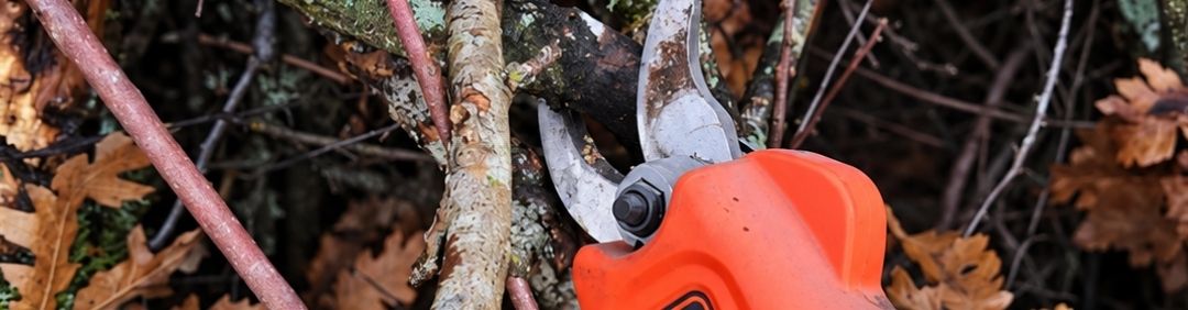The best Black and Decker battery-powered pruning shears on offer at AgriEuro