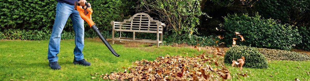The best Black and Decker leaf blowers and vacuums on offer at AgriEuro