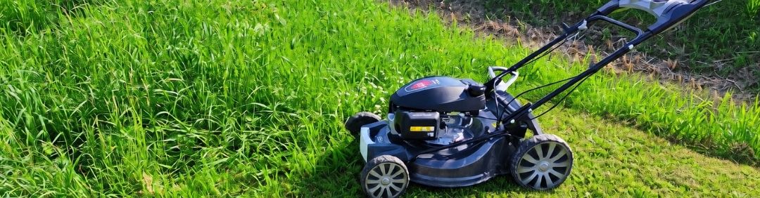 The best BlackStone lawn mowers on offer at AgriEuro