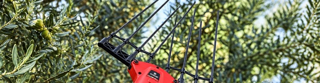 The best Blue Bird olive harvesters and shakers on offer at AgriEuro
