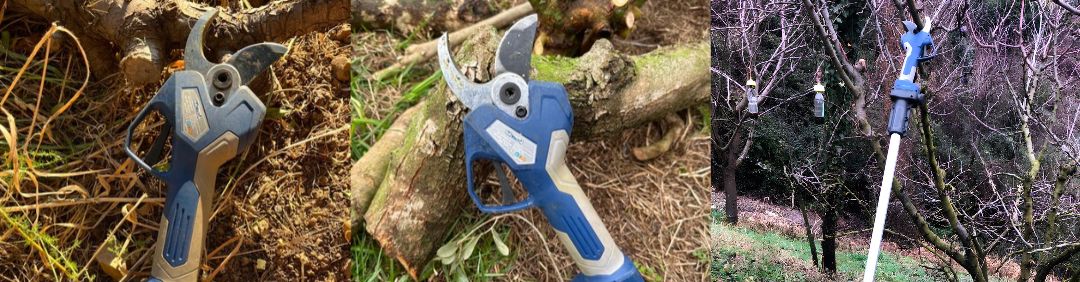 The best BullMach battery-powered pruning shears on offer at AgriEuro