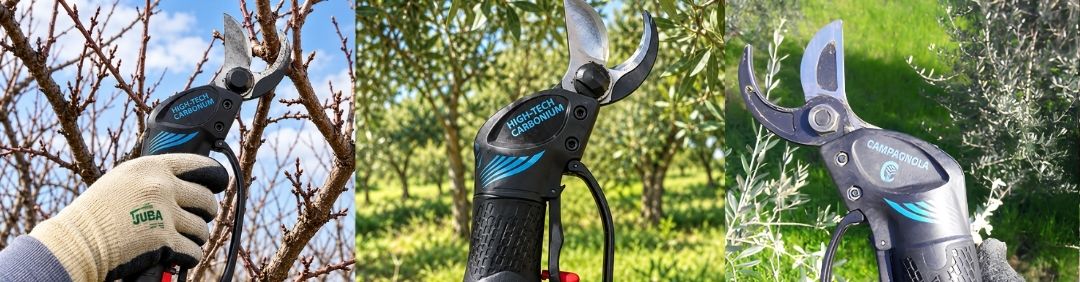 The best Campagnola pneumatic pruning shears on offer at AgriEuro