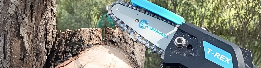 The best Campagnola pruning saws on offer at AgriEuro