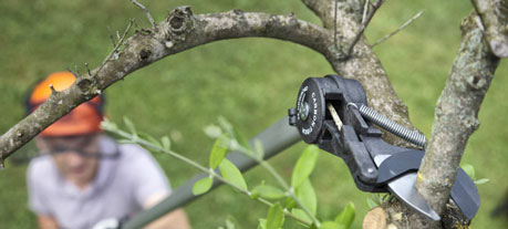 Archman Pruning Loppers