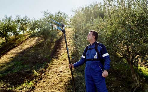 Campagnola Electric Olive Harvester