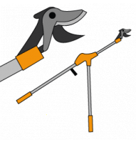 Branch Loppers on extension pole / with long handle