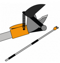 Pruning Shears and Lopping Shears on Extension Pole
