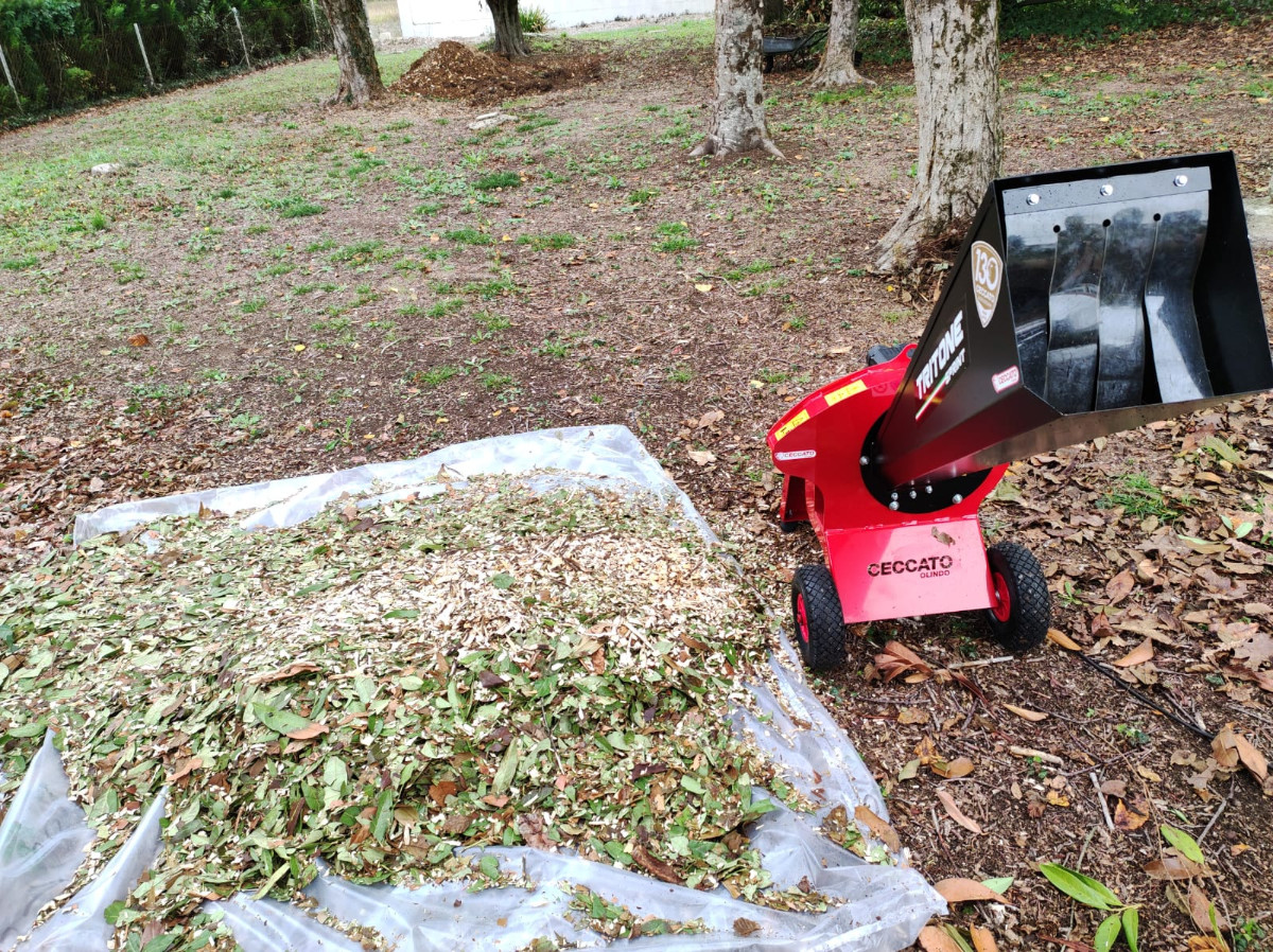 Broyeur De Végétaux Moteur électrique Ceccato Tritone Bio Sprint Feedback & Reviews Ceccato Tritone Bio Sprint garden shredder , best deal  on AgriEuro