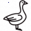 Goose