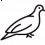 Partridge