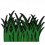 Very tall grass