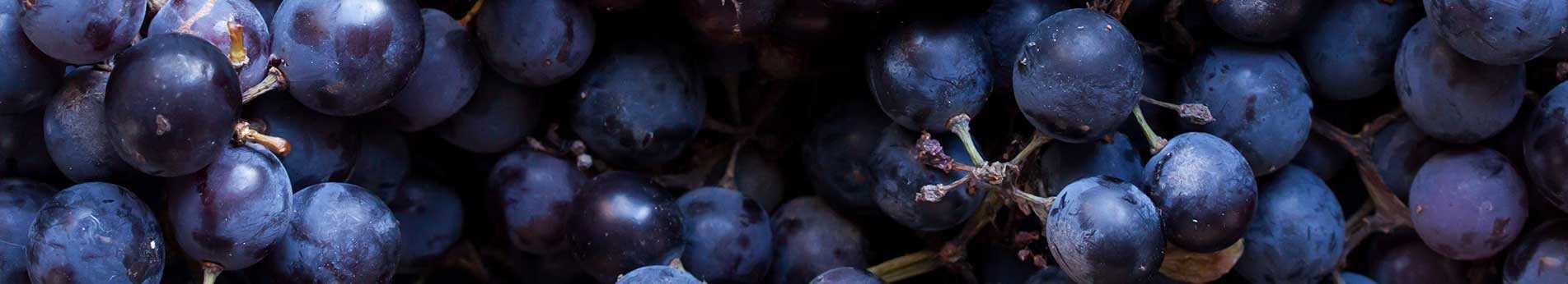 Wine making, filtering and transferring