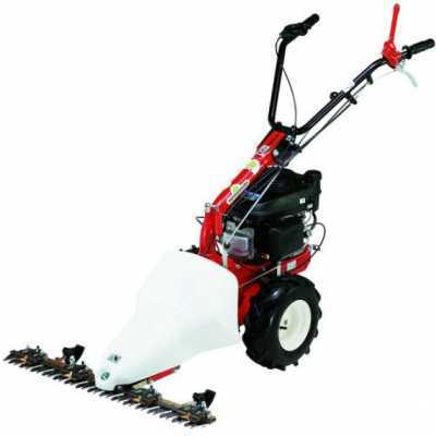 Eurosystems M210 double blade petrol scythe mower B S 625 Engine