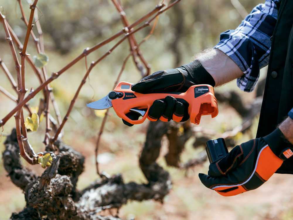 Bahco electric secateurs make big pruning jobs easy