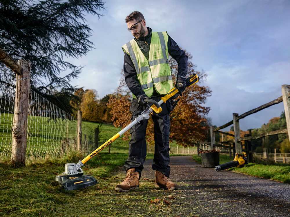 Dewalt discount 54v strimmer