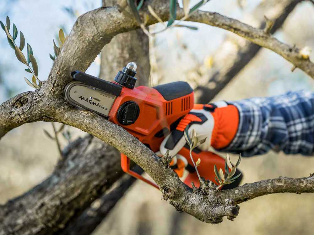 Battery powered cheap chainsaw pruner
