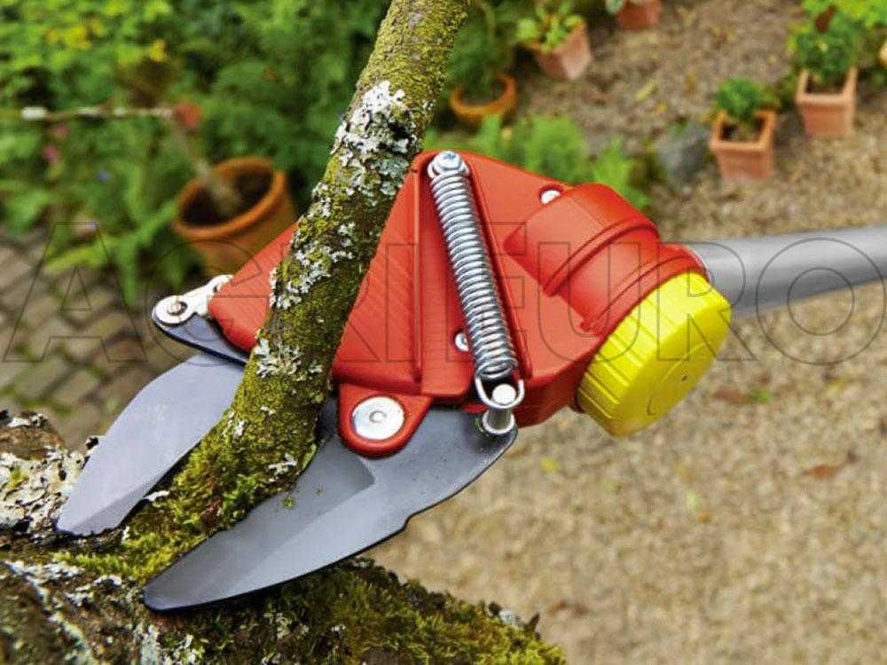 Wolf tree best sale pruner