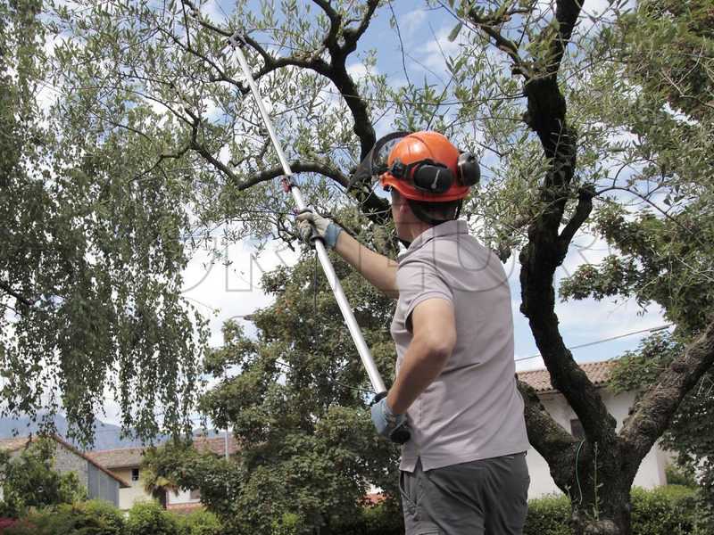 Tree pruning hot sale shears