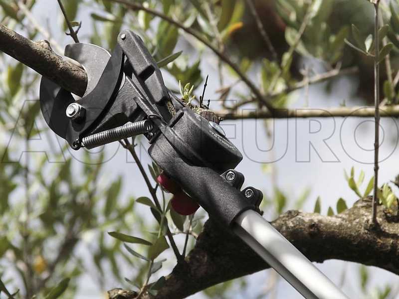 Professional hot sale tree pruner
