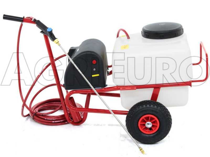 12v spray hot sale pump