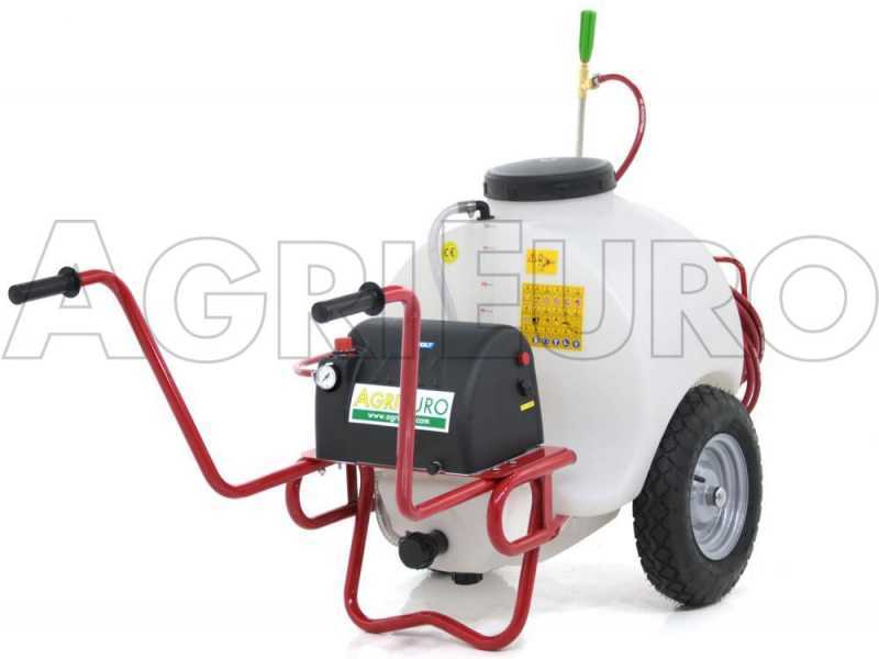 Electric store power sprayer