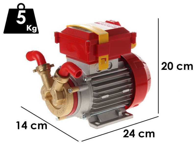 Rover 20 CE Electric Transfer Pump 0.5 hp motor, for wine and water