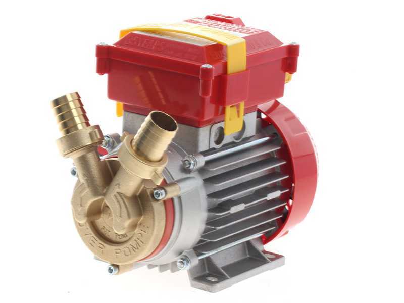 Rover 25 CE Electric Transfer Pump - 0.8 hp Single-phase Motor - Electric Pump