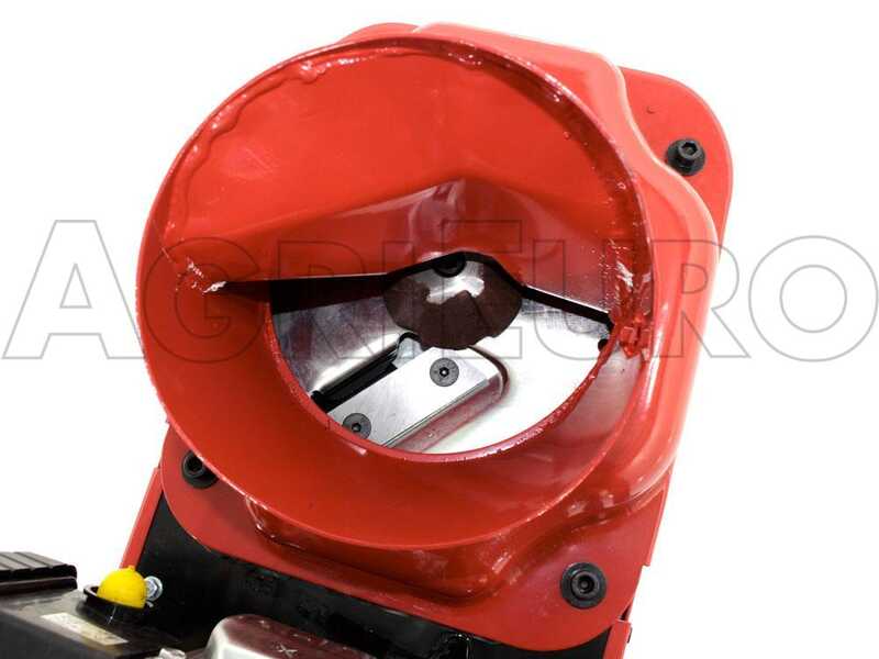 GeoTech GSB50 - Petrol garden shredder - Gasoline engine 6 HP