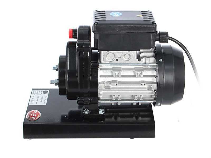 RGV Pommi - Tomato Press with 450 W Electric Motor  - 220 V