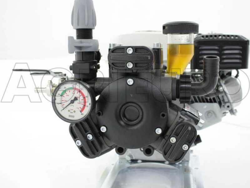 Comet APS 41 Sprayer Pump - Honda GX 160 - Dal Degan Trolley - 150 L Tank Kit