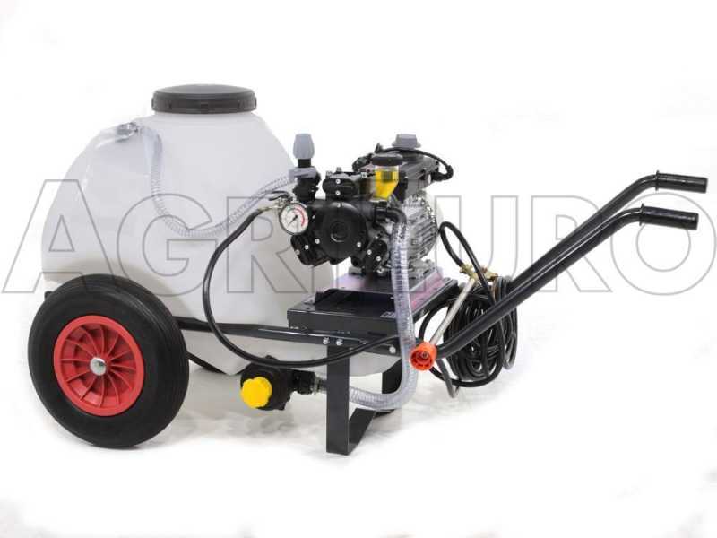Comet APS 31 - Wheeled Sprayer Pump Kit - Single-phase Motor - 120 L
