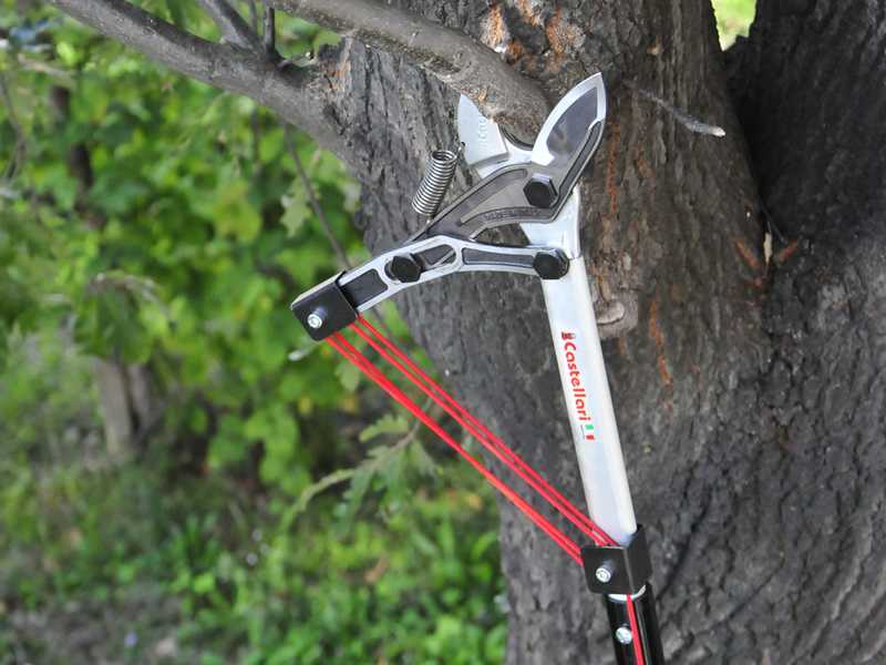Kent and stowe online telescopic tree pruner
