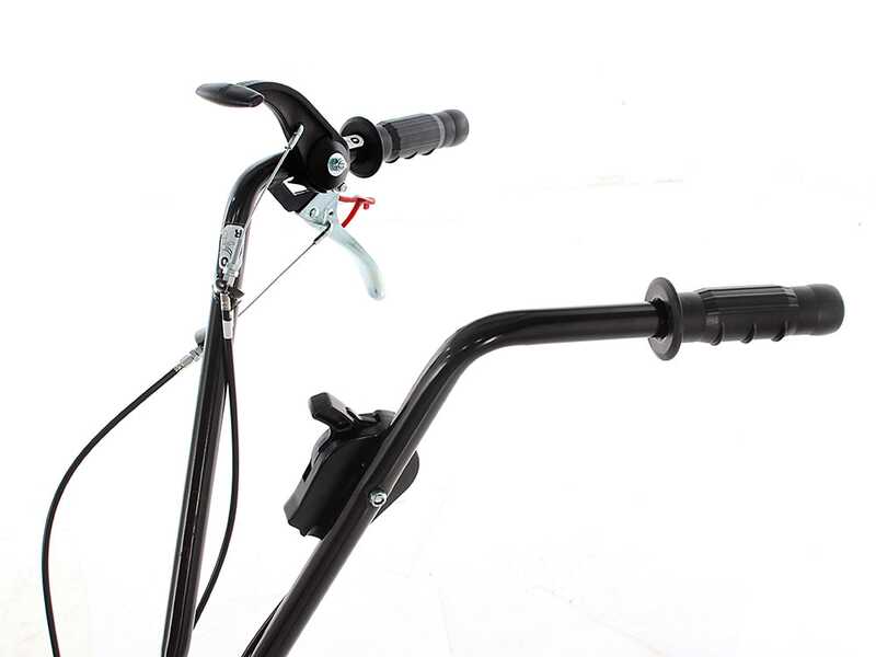 Eurosystems Z2 RM - 4 HP Petrol Garden Tiller - Loncin 123 T Engine