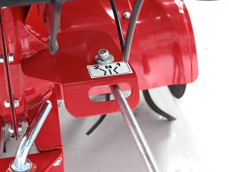 Eurosystems Z8 - 5.5 HP Petrol Garden Tiller - Honda GX 160 OHV Engine 