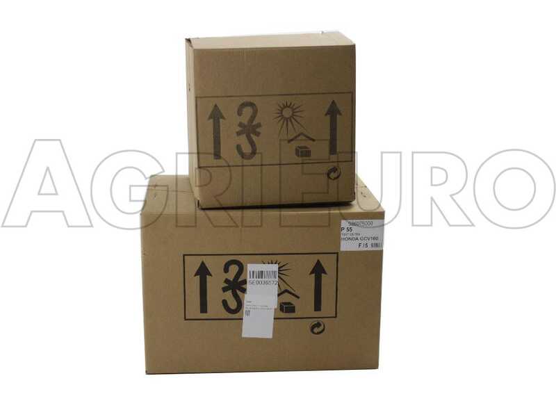 Eurosystems TM 70 RB EVO - Petrol Two-wheel Tractor - Briggs&amp;Stratton 850E I/C