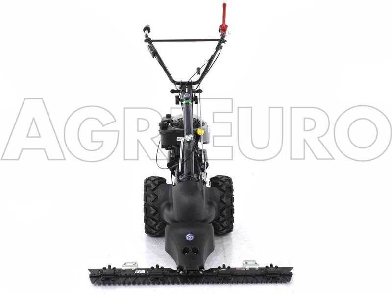 Eurosystems TM70RB - Multifunctional twin-blade mower - B&amp;S 850E I/C