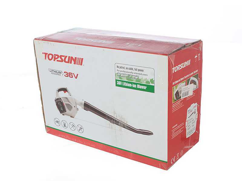 Topsun Battery-powered Leaf Blower - 36 V - 2 Ah Battery