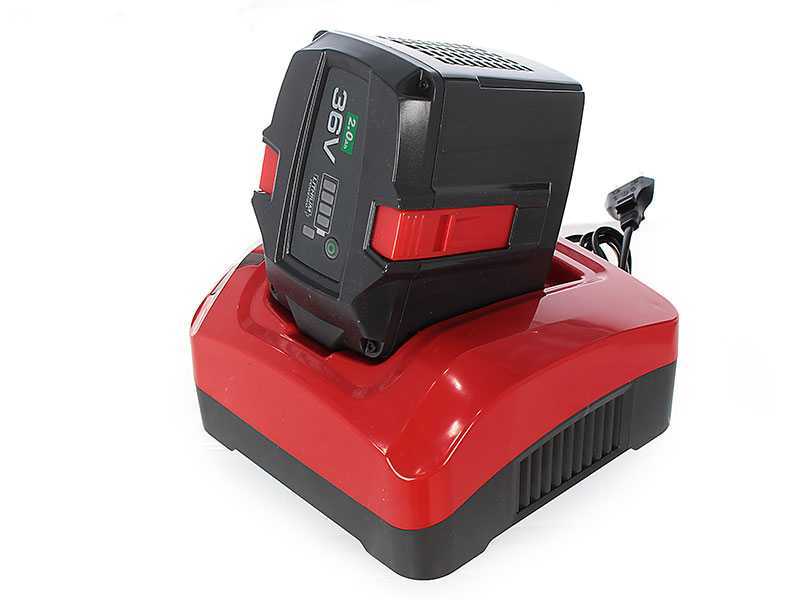 Topsun Battery-powered Leaf Blower - 36 V - 2 Ah Battery