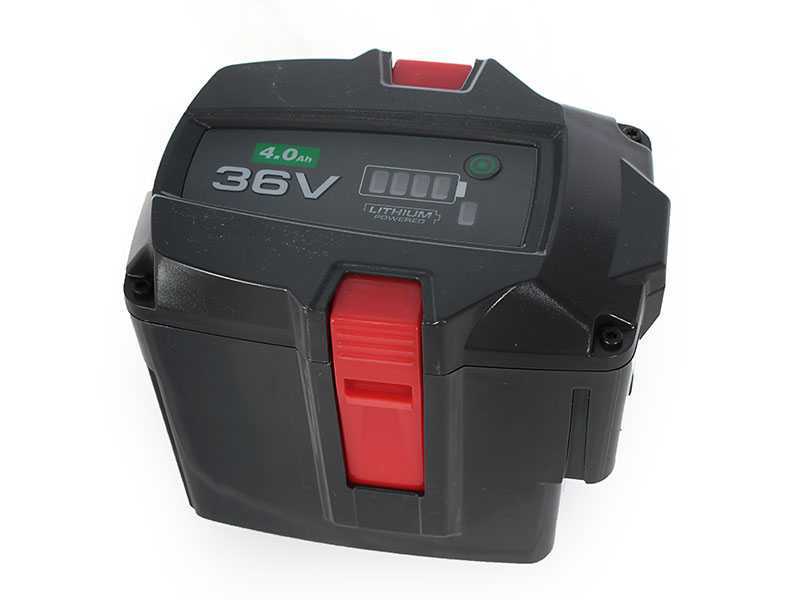 Topsun Battery-powered Leaf Blower - 36 V - 2 Ah Battery