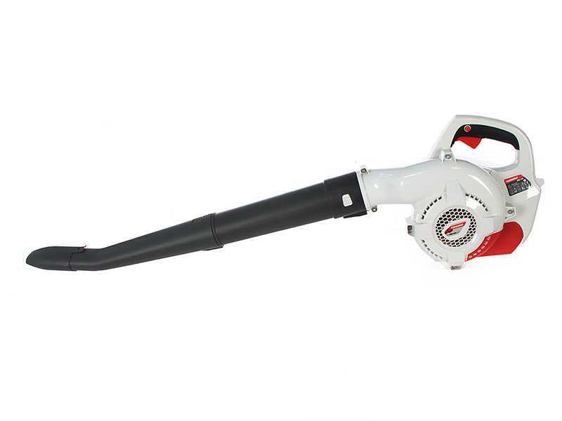Topsun Battery-powered Leaf Blower - 36 V - 2 Ah Battery