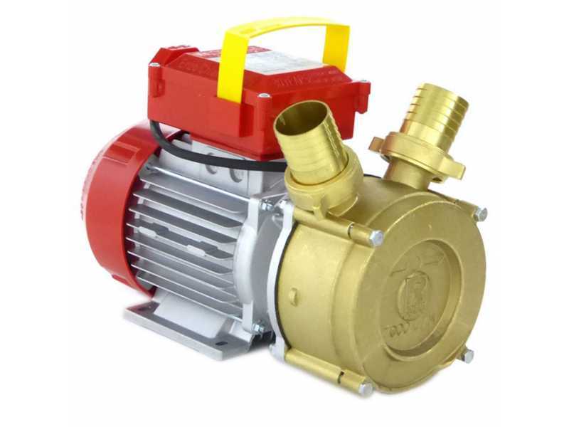 Best pump on sale motor