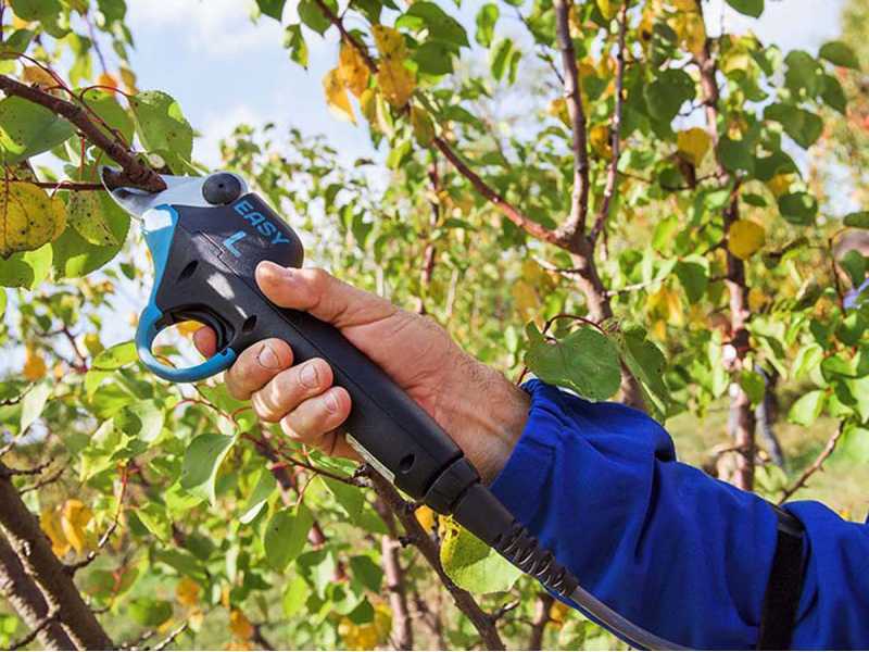 Campagnola Easy L electric pruning shears, 4.4 Ah Li-ion battery, max &Oslash; 36 mm