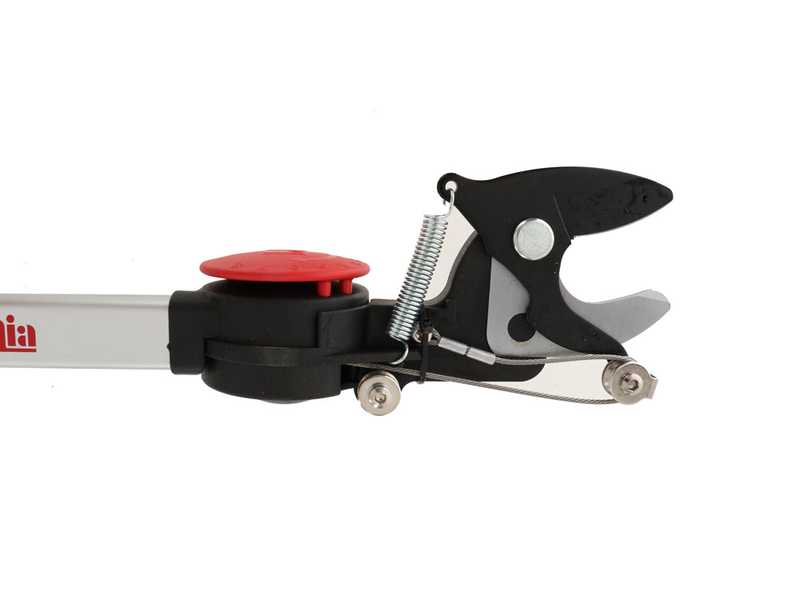 Ausonia - Pruning Shear with 2 m fixed pole - &Oslash; 35mm - Rotating head - Sawyer