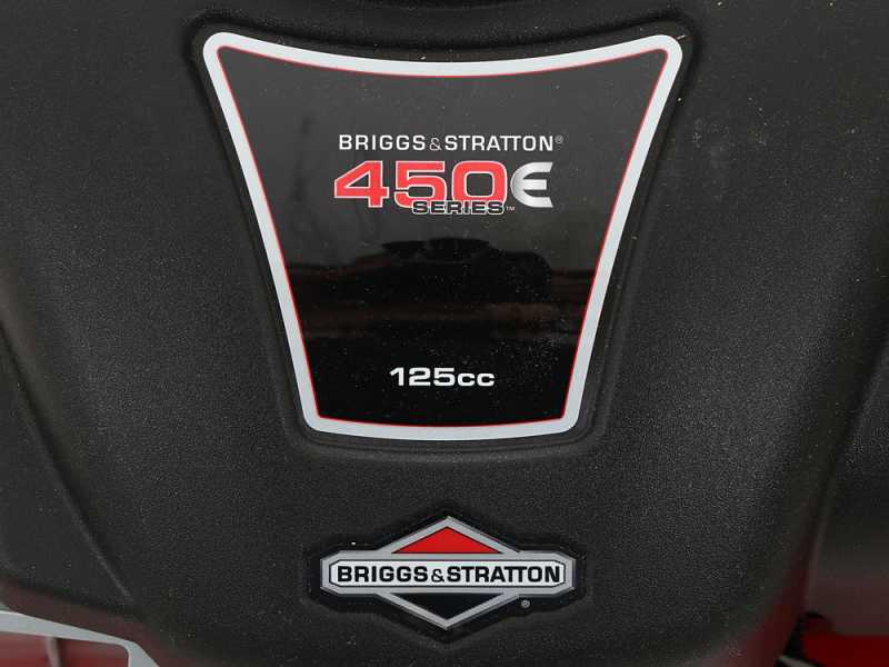 Briggs & stratton clearance 450 series 125cc