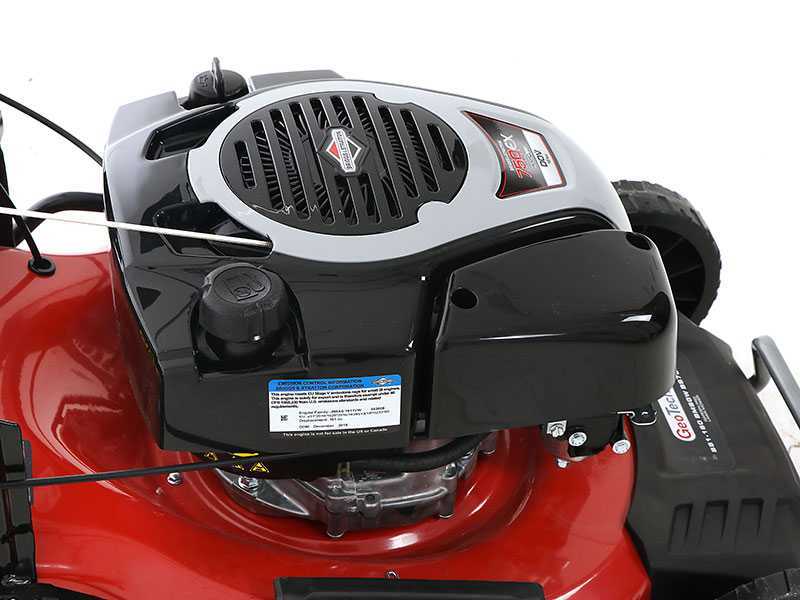 Briggs and stratton lawn hot sale mower 300e series manual